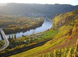 images/mosel/web/vsig_images/b_mosel-0018_508_381_90.jpg