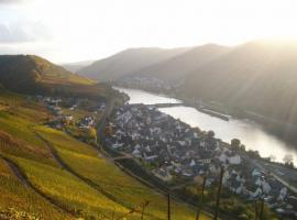 images/mosel/web/vsig_images/b_mosel-0019_508_381_90.jpg