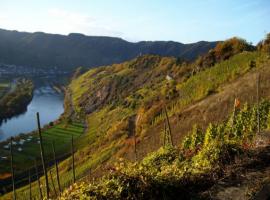 images/mosel/web/vsig_images/b_mosel-0021_508_381_90.jpg